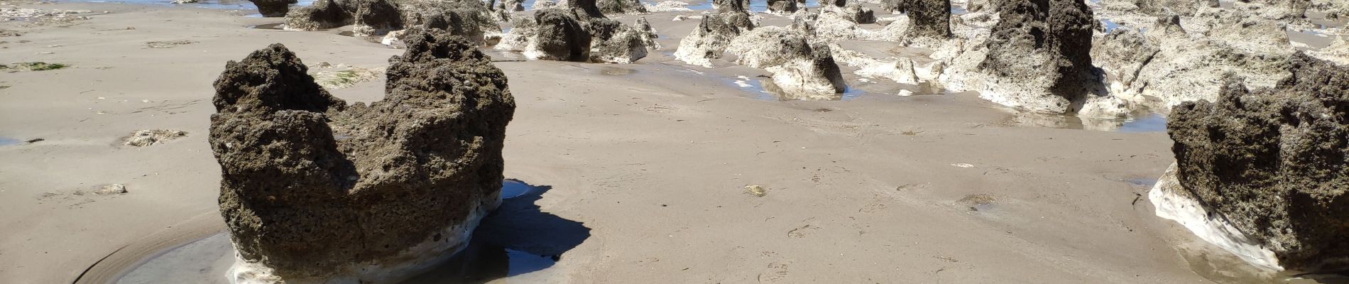 Randonnée Marche Ault - Picardie Ault a Mers-les-Bains par la plage et retour par les falaises - Photo