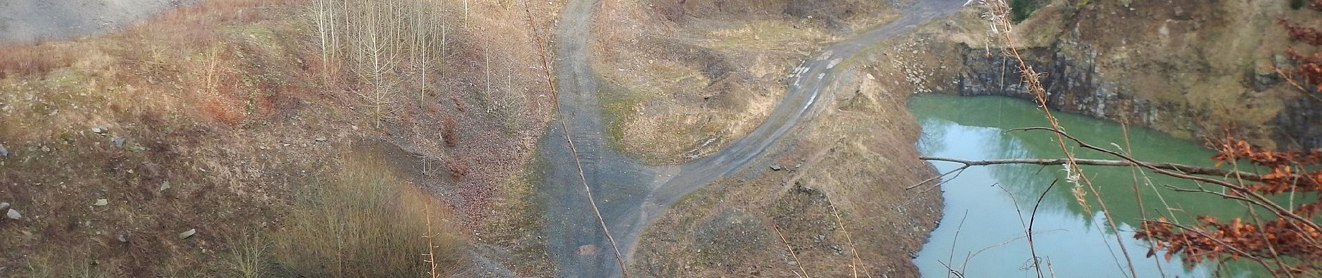 Randonnée A pied Habichtswald - Eco-Pfad Habichtswald - Photo