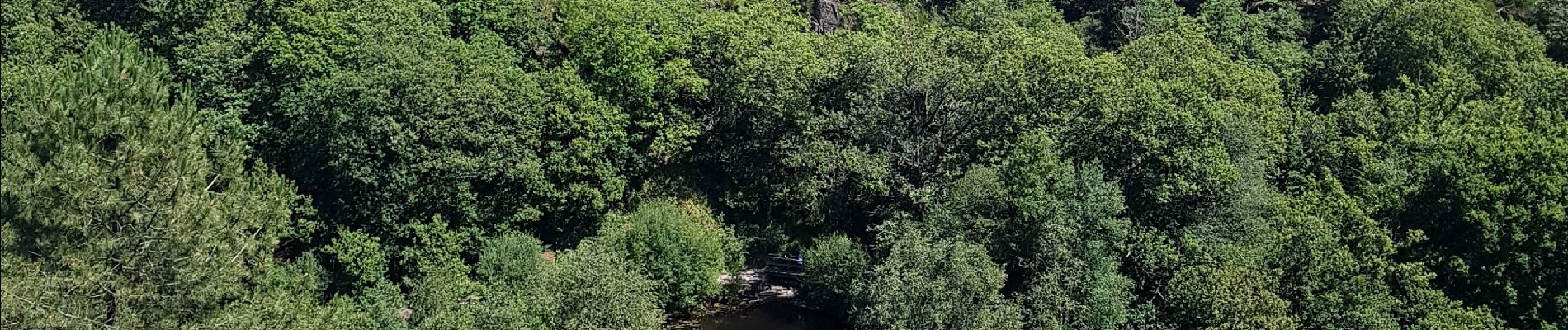 Tour Wandern Tréhorenteuc - les landes de Gurwant et le Val sans retour - Photo