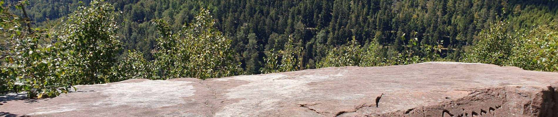 Trail Walking Grandfontaine - Positions fortifiées du Donon sentier des casemates - nord - Photo