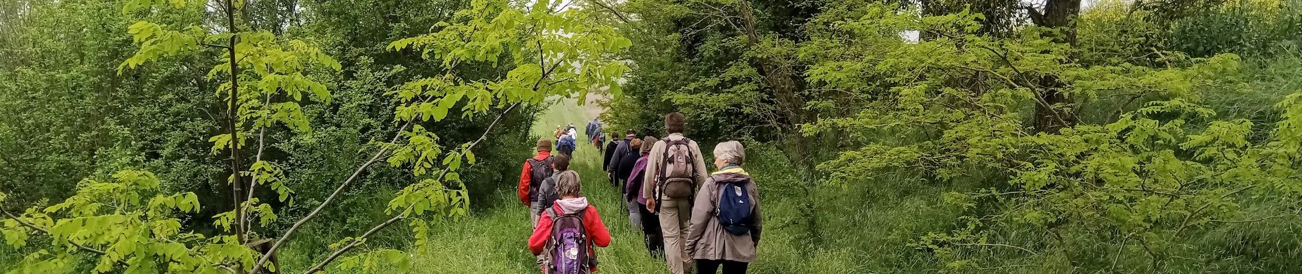 Tour Wandern Épaux-Bézu - Épaux-Bézu du 14-05-2023 - Photo