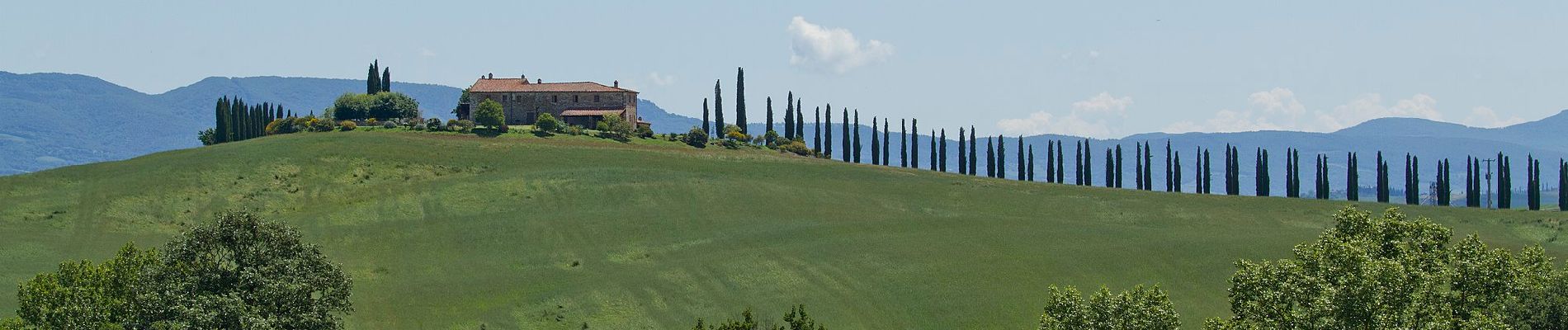 Tocht Te voet San Quirico d'Orcia - Cerrolungo - Photo