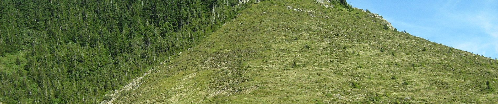 Trail On foot Calimanesti - gara CFR Călimănești - Plaiul Sitarului - Cabana Cozia - Photo