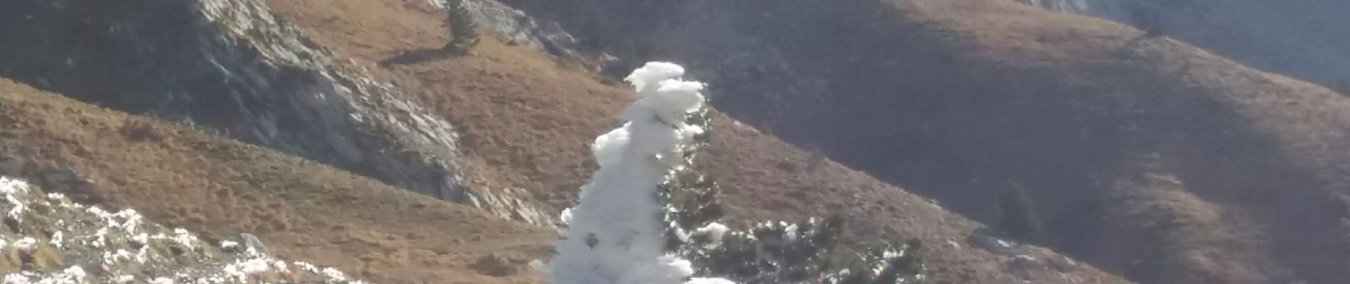 Tocht Stappen Glandage - grimone col de seysse - Photo