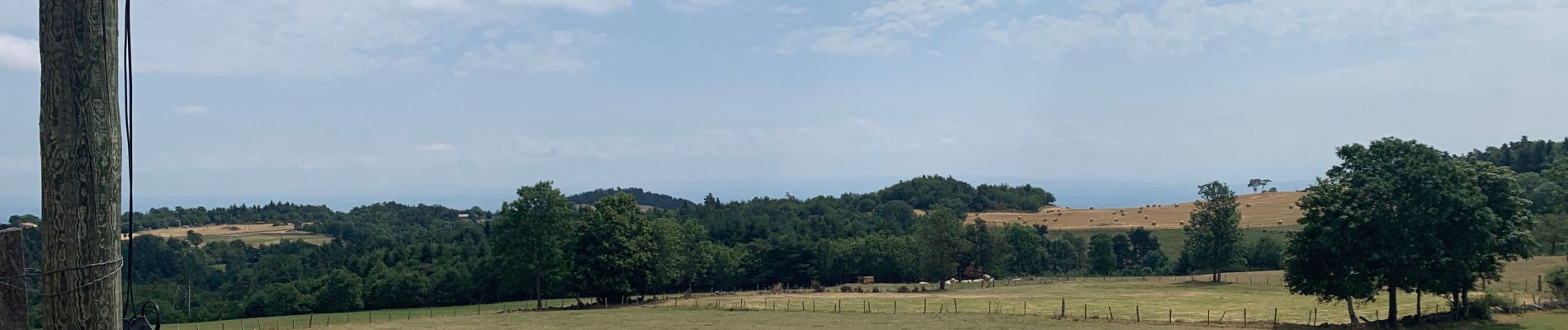 Percorso Mountainbike Bard - Lérigneux et alentours  - Photo