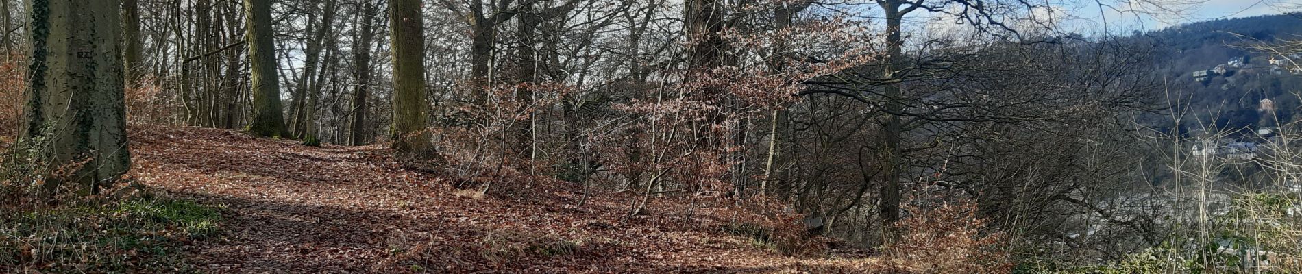 Percorso Marcia Esneux - tilff . brialmont . hayen . dur les hus . chapelle des chaweresses. tilff   - Photo