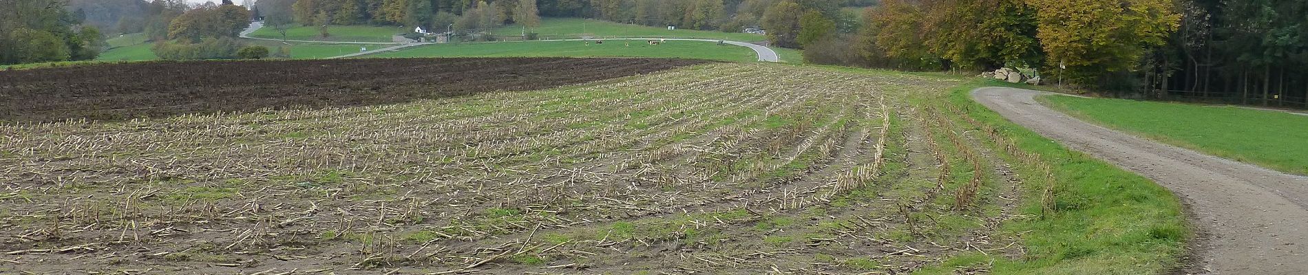 Randonnée A pied Lautertal - Rundwanderweg Lautertal Schannenbacher Eck 4: Panoramaweg - Photo