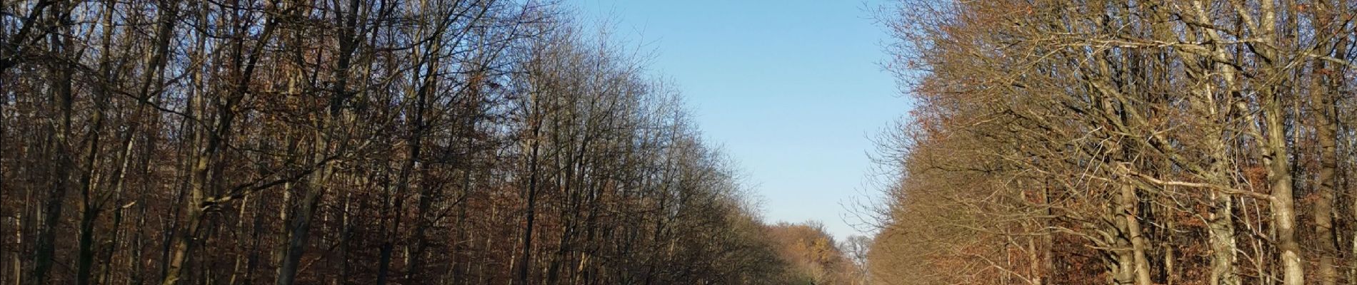 Randonnée Marche Muchedent - forêt Eawy les essarts - Photo