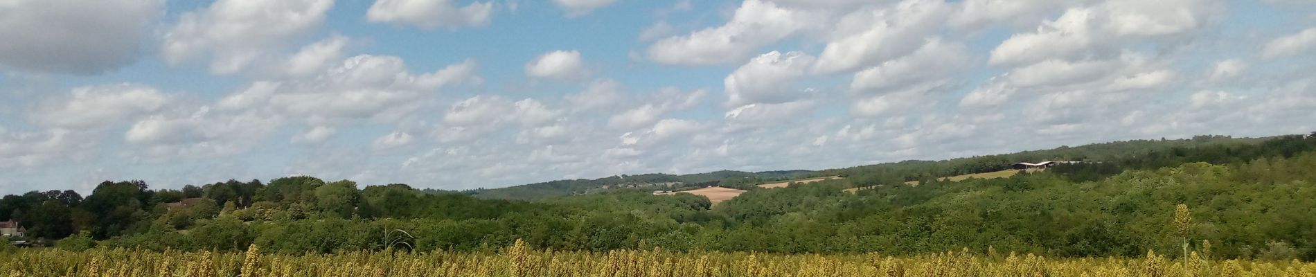 Tocht Stappen Paunat - Trėmolat 10,1km - Photo