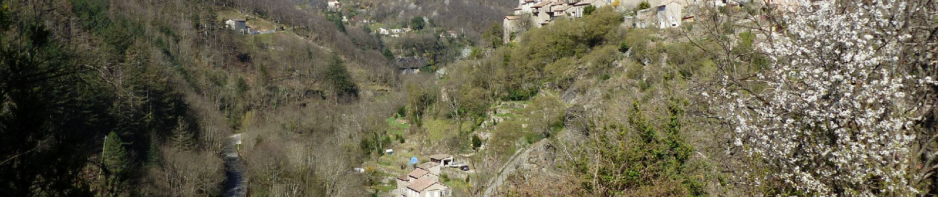 Excursión Senderismo Vallées-d'Antraigues-Asperjoc - Antraïgues-Gamondes 17km - Photo