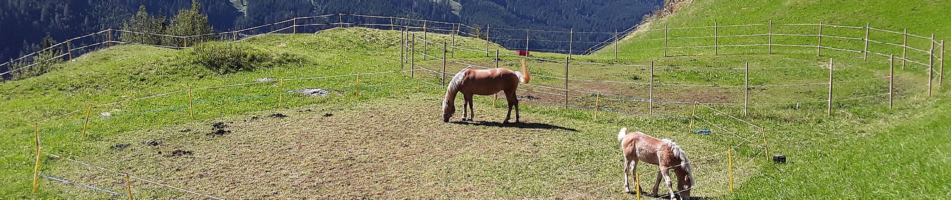 Tour Zu Fuß Pardatsch - Troi dei soldai - Photo