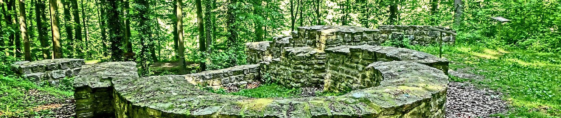 Randonnée A pied Bissendorf - Rund um die Holter Burg - Photo