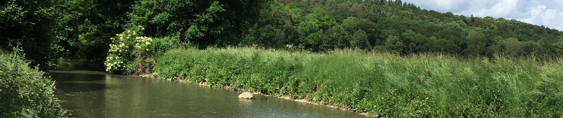 Randonnée Marche La Ferrière-sur-Risle - Ajou - Photo