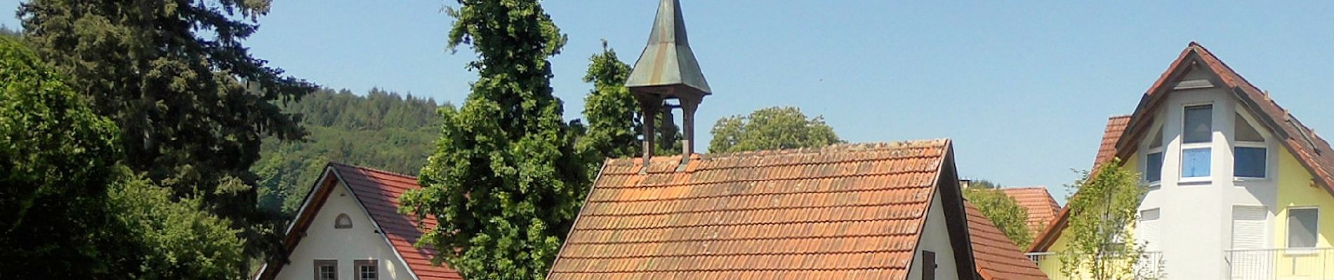 Tour Zu Fuß Seelbach - Seelbach Panoramawanderung - Photo