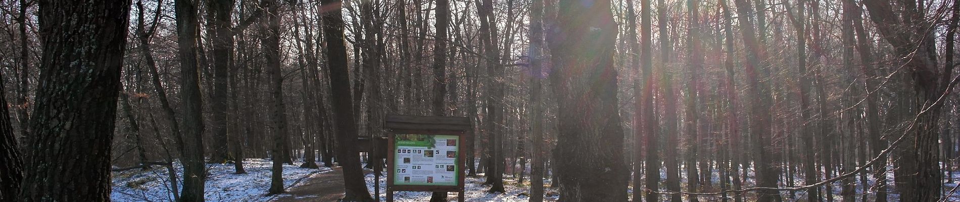 Tocht Te voet Pilisszentkereszt - P↺ Zsivány körút (Dobogókő, hegytető aut. vá . - Zsivány-sziklák - Dobogókő, hegytető aut vá.) - Photo