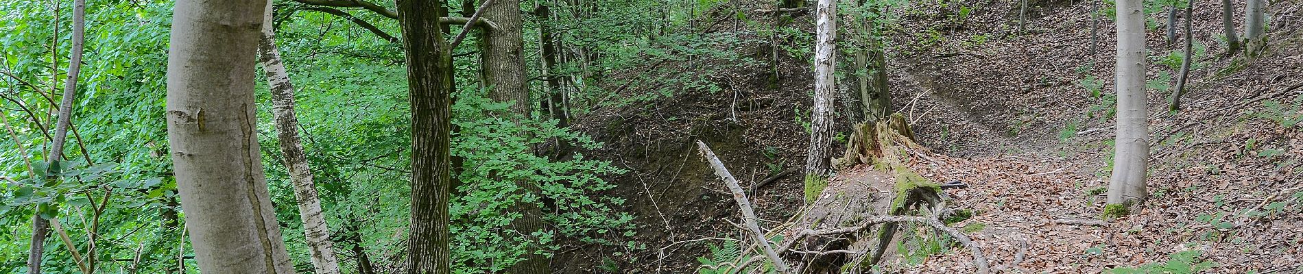 Tocht Te voet Pucking - Wanderweg Sipbachtal - Photo