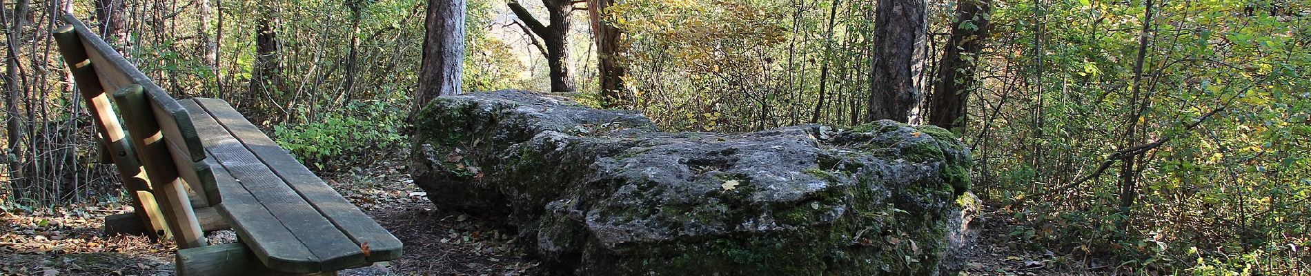 Excursión A pie Gemeinde Bad Vöslau - Bad Vöslau - Vöslauer Kalkgraben - Photo