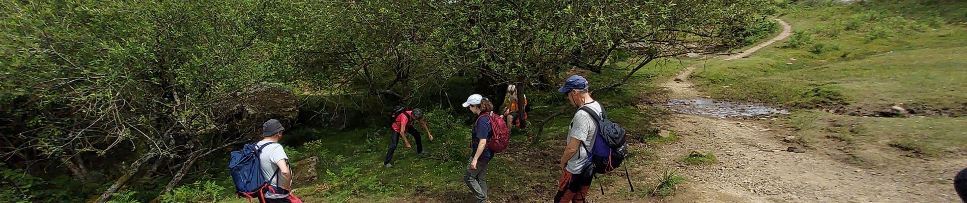 Tour Wandern Itxassou - Mondarrain stage  - Photo