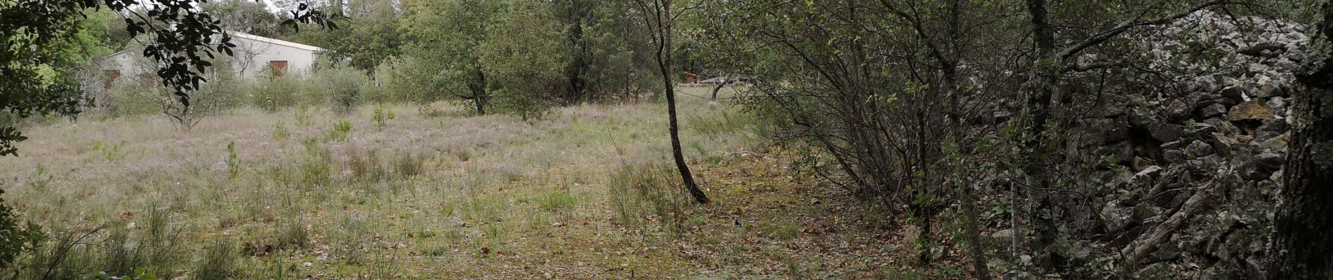 Tour Wandern Barjols - ste madeleine  - Photo