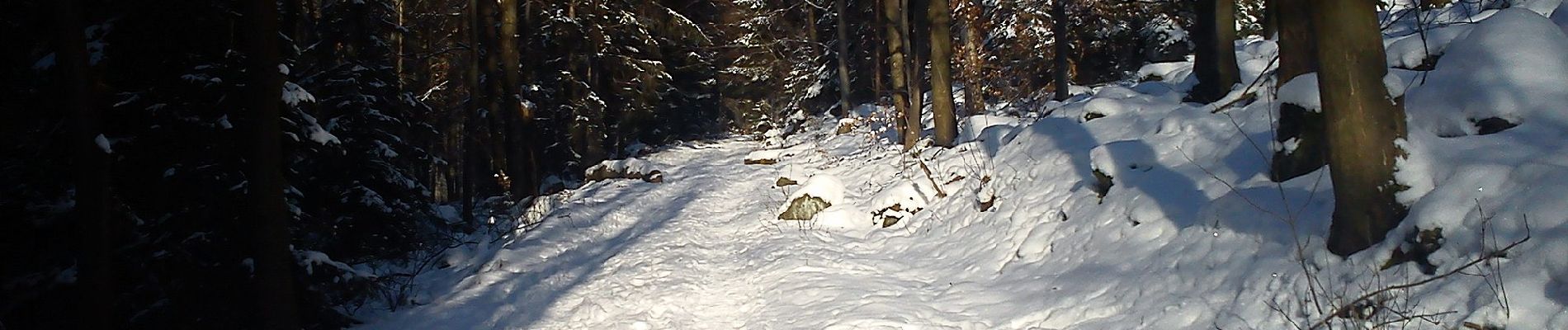 Percorso A piedi Sobótka - Zielony Strzelce - Ząbkowice Śl. - Photo