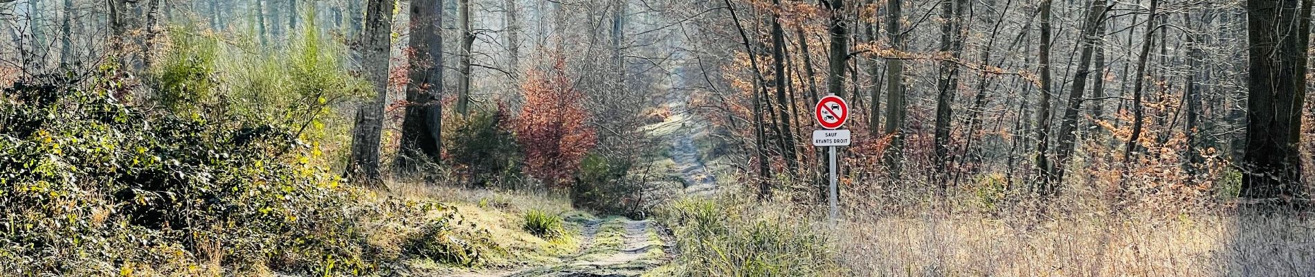 Punto di interesse Compiègne - Unnamed POI - Photo