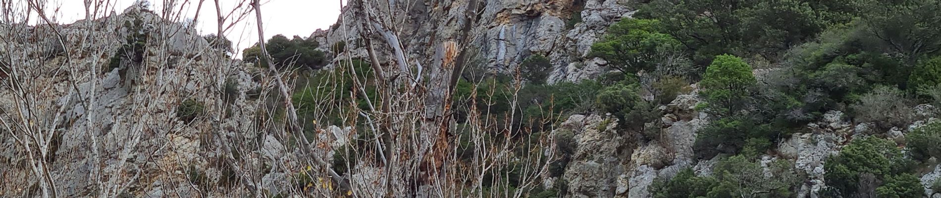 Tocht Stappen Feuilla - Feuilla - Roquefort des Corbières( Aude ) - Photo