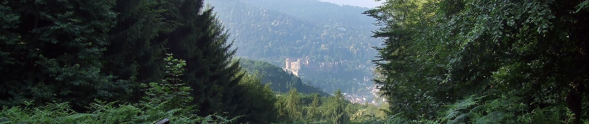 Tocht Te voet Onbekend - Rundwanderweg Heidelberg Turnerbrunnen 4: Holdermannseiche-Weg - Photo