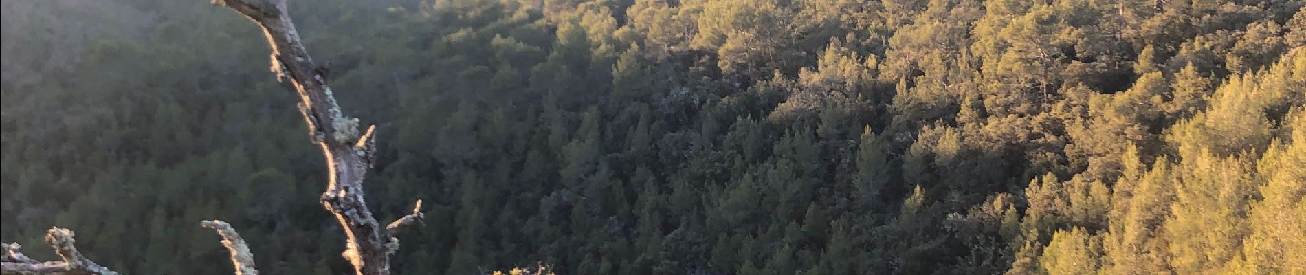 Excursión Bici de montaña Barjols - Le belvédère  - Photo