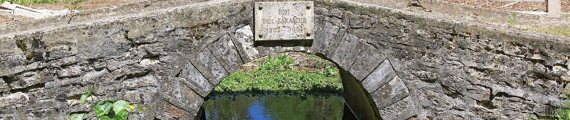 Tocht Te voet Source-Seine - Promenade Source-Seine - Photo