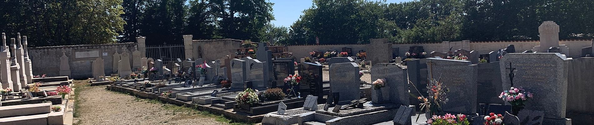 Tour Zu Fuß Saint-Paul-de-Varax - Sentier Louis Jourdan - Photo