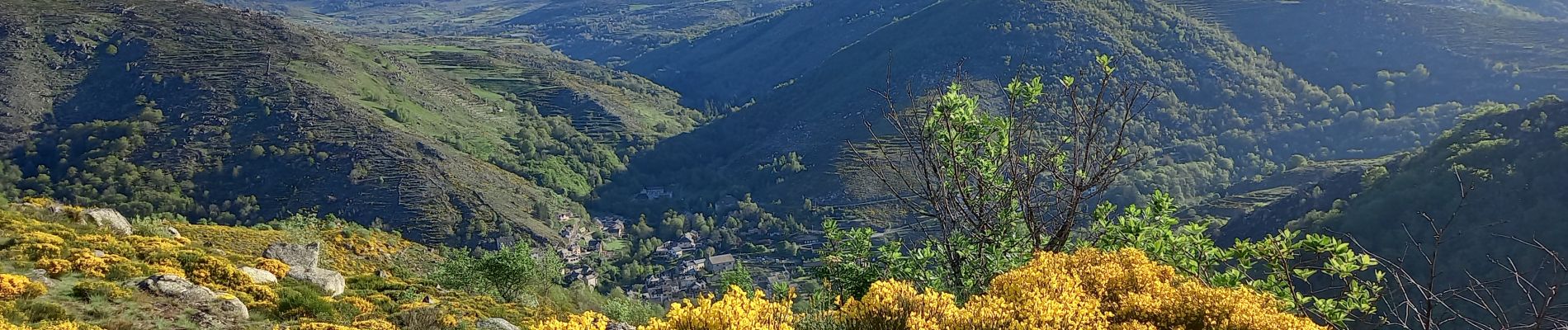 Tour Wandern Pont de Montvert - Sud Mont Lozère - J3: Le Pont de Montvert-Florac par le Signal du Bougès - Photo