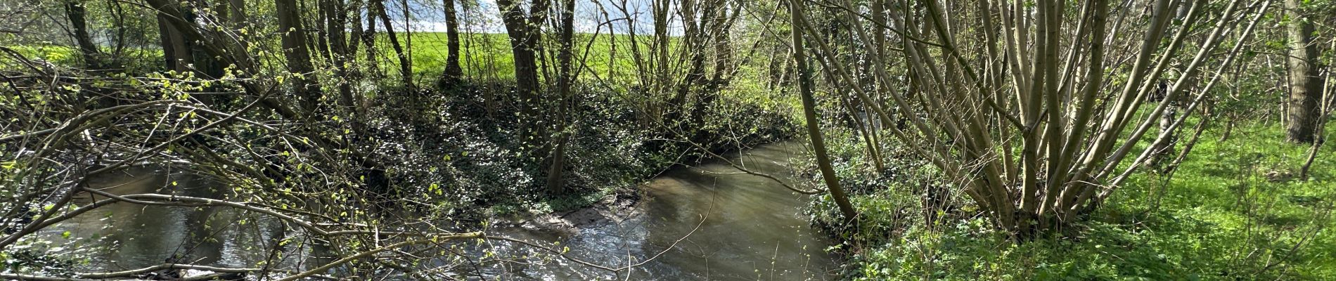 Percorso Marcia Vendegies-sur-Écaillon - Vendegies sur Ecaillon - Menhir 16,8 k - Photo