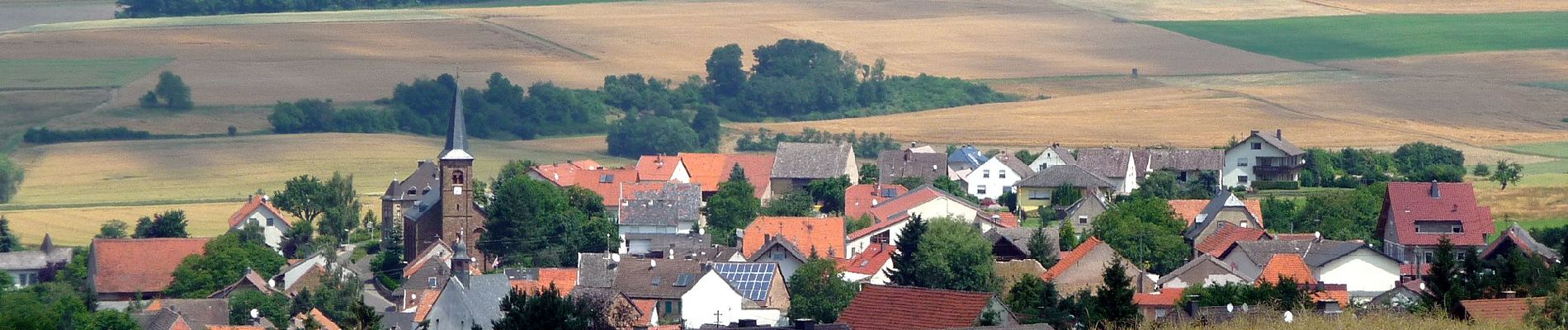 Percorso A piedi Bärweiler - Langenstein - Photo