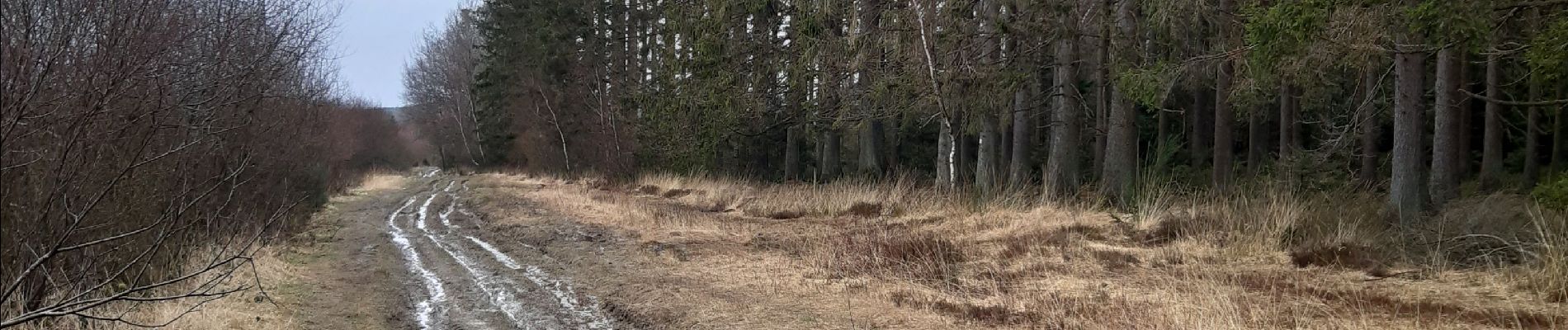 Tocht Stappen Theux - vertbuisson . chefna . porallee  . éolienne bronrome . vertbuisson - Photo