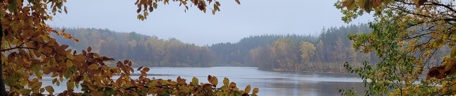 Tour Wandern Florenville - rando les epioux 31-10-2023 - Photo