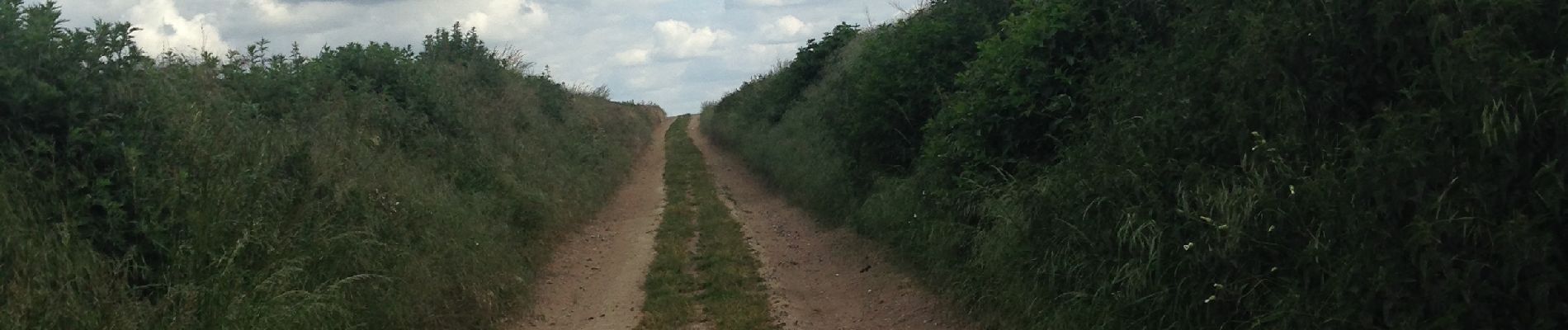 Tour Wandern Jodoigne - PRJ-Light-ENEO- 4/2022 - Photo