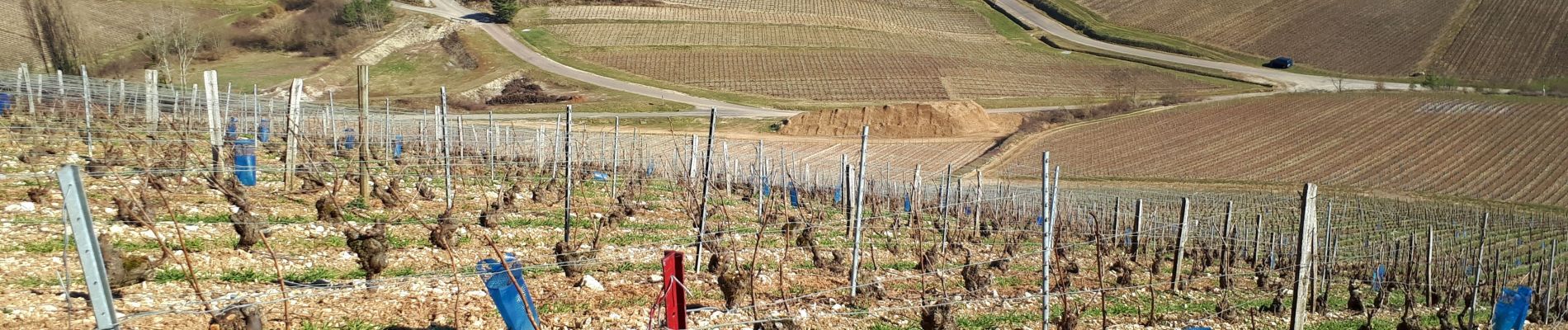 Excursión Senderismo Celles-sur-Ource - Les hauts de Celles sur Ource et Neuville sur Seine - Photo