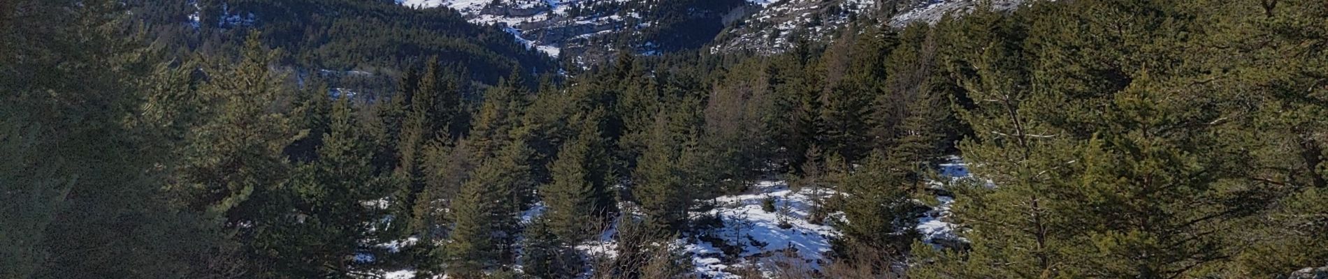 Randonnée Raquettes à neige Le Dévoluy - mercredi - Photo