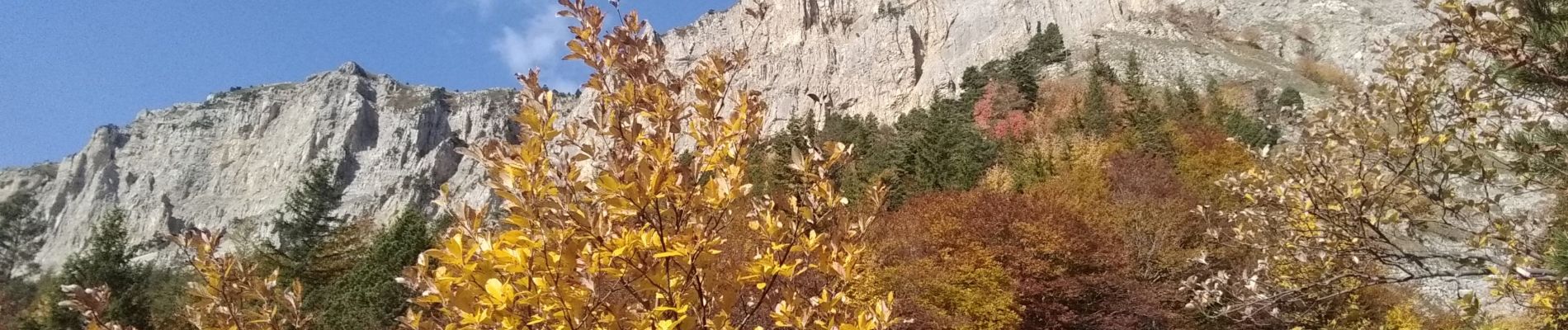 Trail Walking Saint-Michel-les-Portes - tentative Petit Veymont - Photo