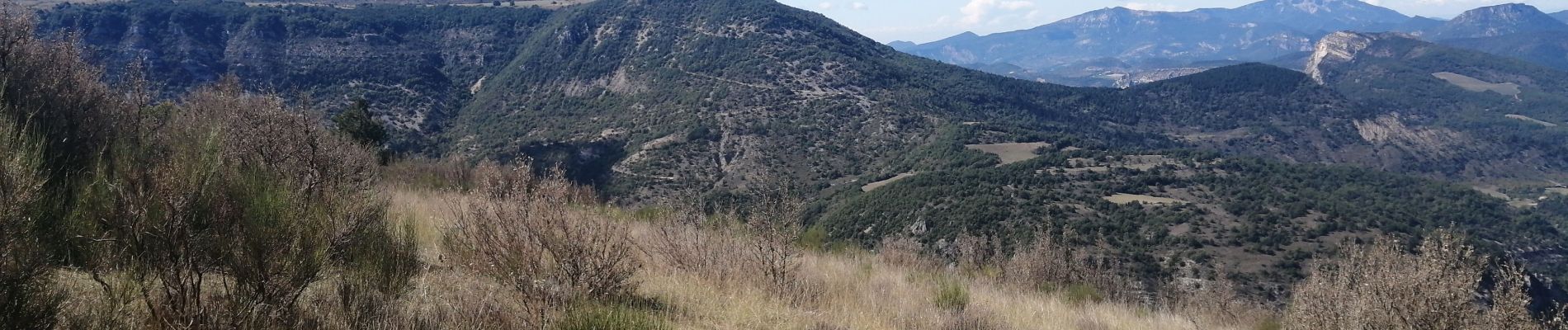 Excursión Senderismo Rémuzat - le mont rond - Photo