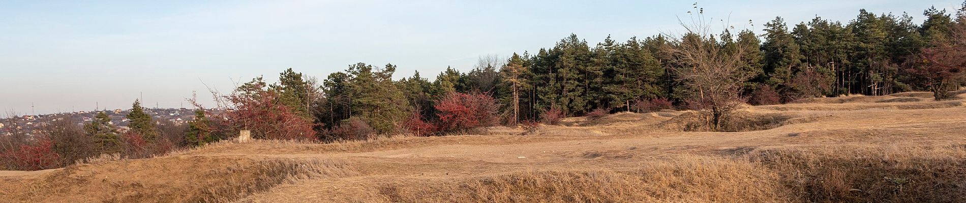 Tour Zu Fuß Jassy - Trail 1(Repedea-Poiana Rotunda-Slobozia-Barnova) - Photo