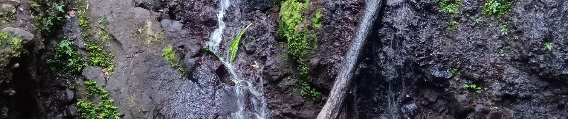 Tour Wandern Bouillante - Cascade rivière Espérance - Photo