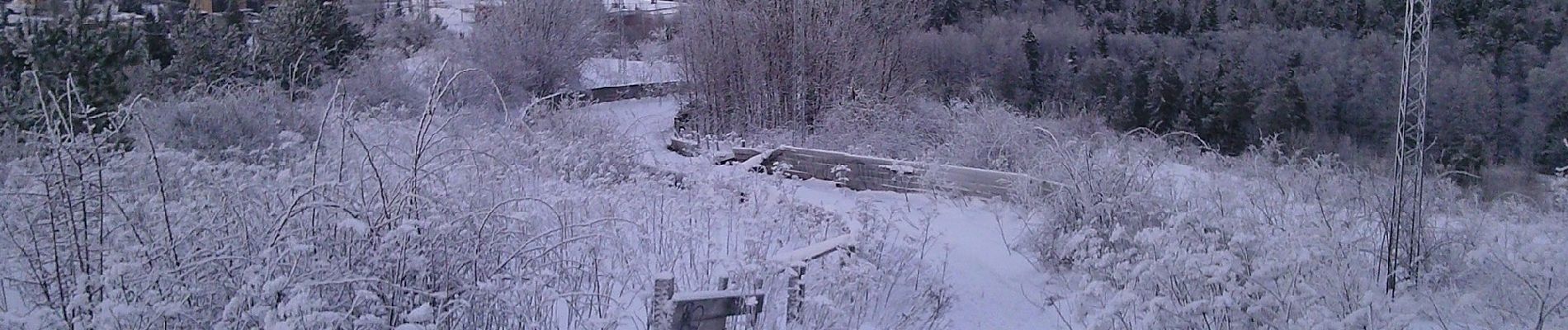 Percorso A piedi Sconosciuto - Fagersjöskogens elljusspår - Photo