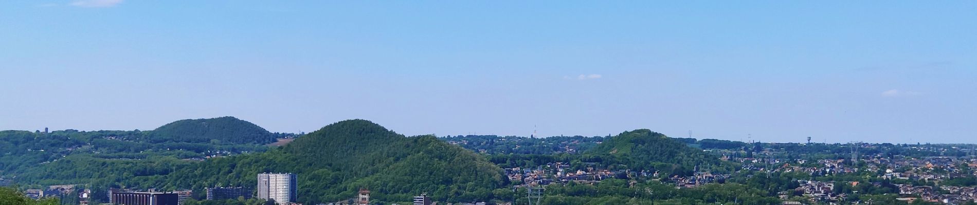 Tour Elektrofahrrad Blegny - Par les Houlpais - Photo