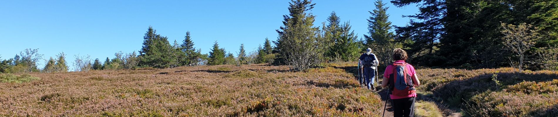 Tocht Stappen La Valla-en-Gier - cretes pilat - Photo