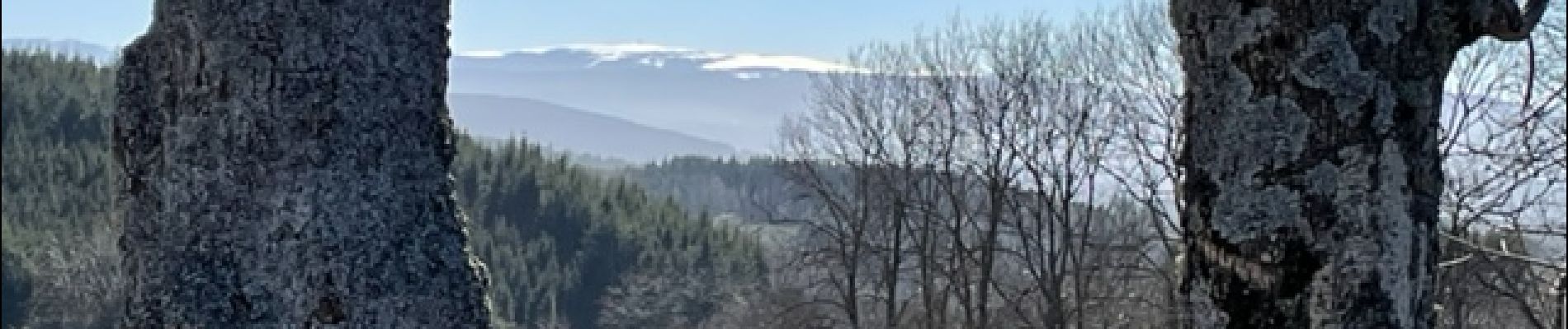 Point d'intérêt Cherier - Panorama sur Pierre-sur-Haute - Photo