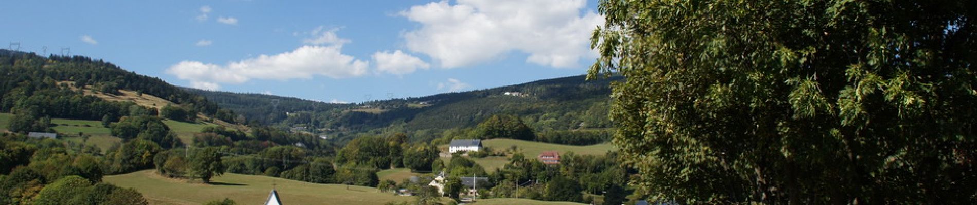 Tocht Stappen Orbey - Creux d'argent - Photo