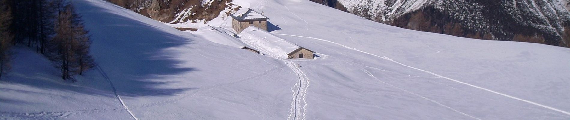 Tocht Te voet Lorenzago di Cadore - IT-336 - Photo