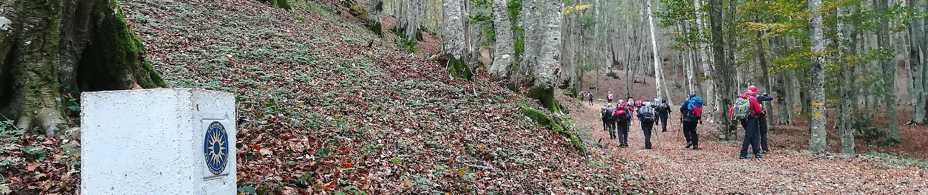 Tour Zu Fuß San Lucido - (SI U25) Passo della Crocetta - Caserma Forestale di Cinquemiglia - Photo