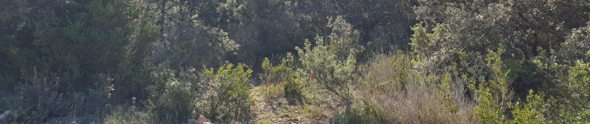 Excursión Bici de montaña Rochefort-du-Gard - Vive les RTT en VTT - Photo